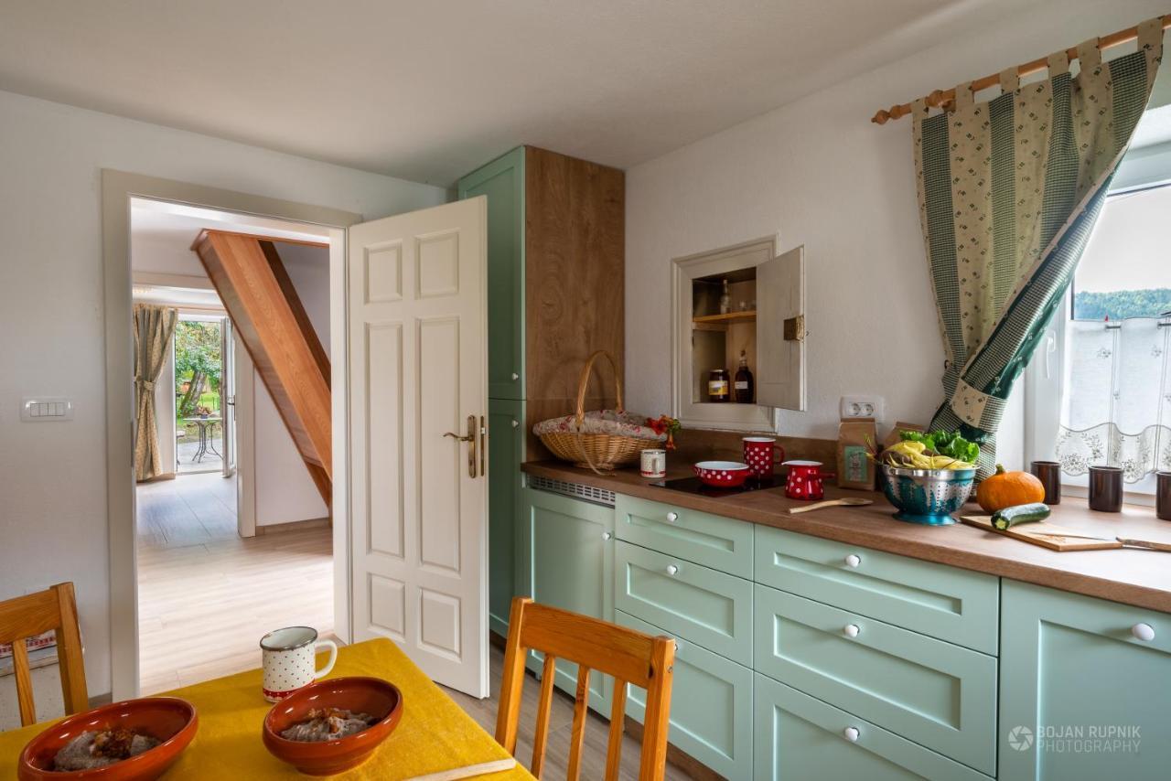 Cherry House - Cosy House - Ideal For Bear Watching, In The Neighborhood Of The Medieval Sneznik Castle Stari Trg pri Lozu Exterior photo