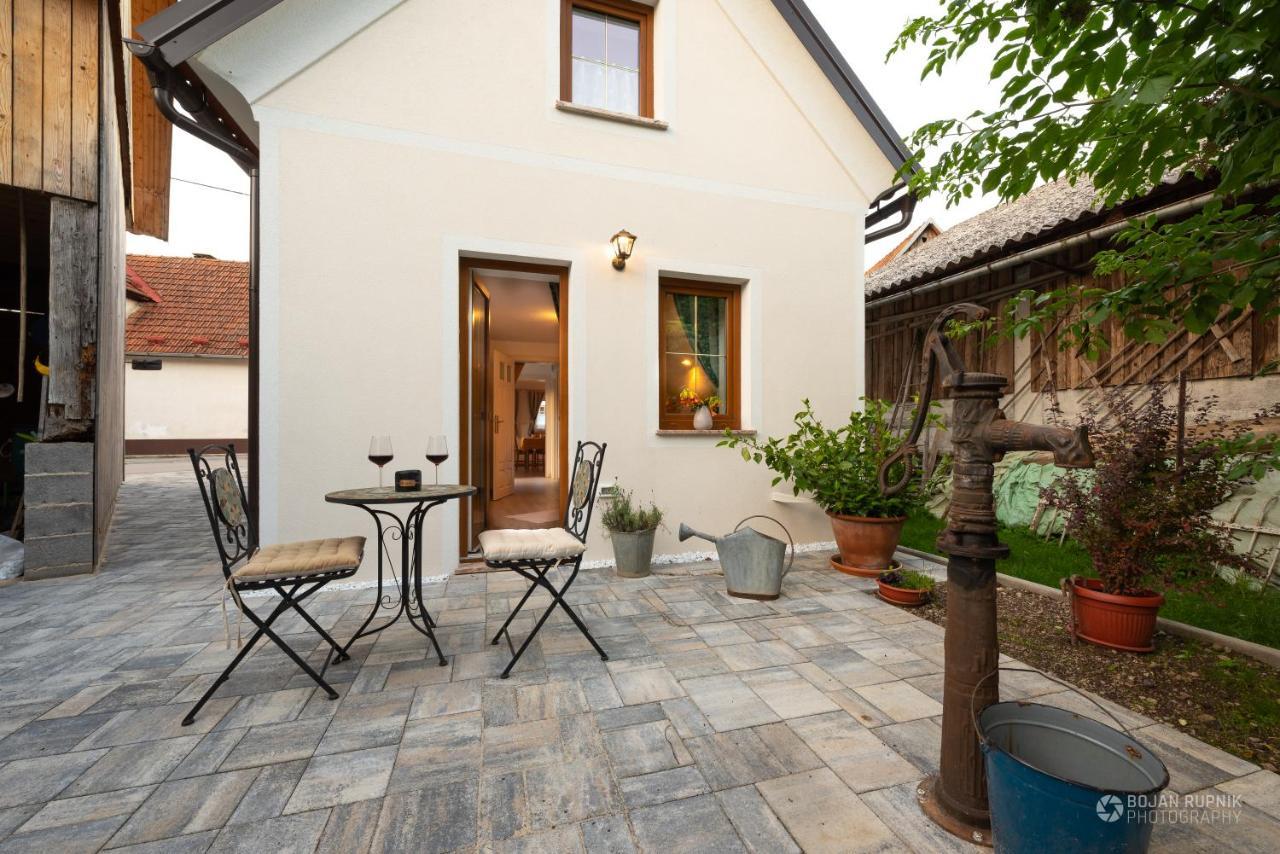Cherry House - Cosy House - Ideal For Bear Watching, In The Neighborhood Of The Medieval Sneznik Castle Stari Trg pri Lozu Exterior photo