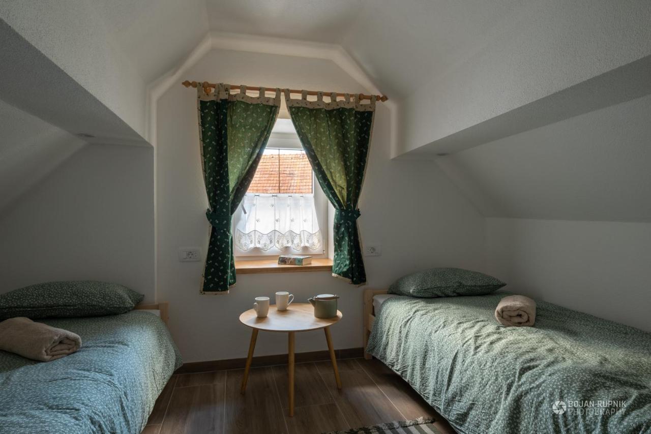 Cherry House - Cosy House - Ideal For Bear Watching, In The Neighborhood Of The Medieval Sneznik Castle Stari Trg pri Lozu Exterior photo