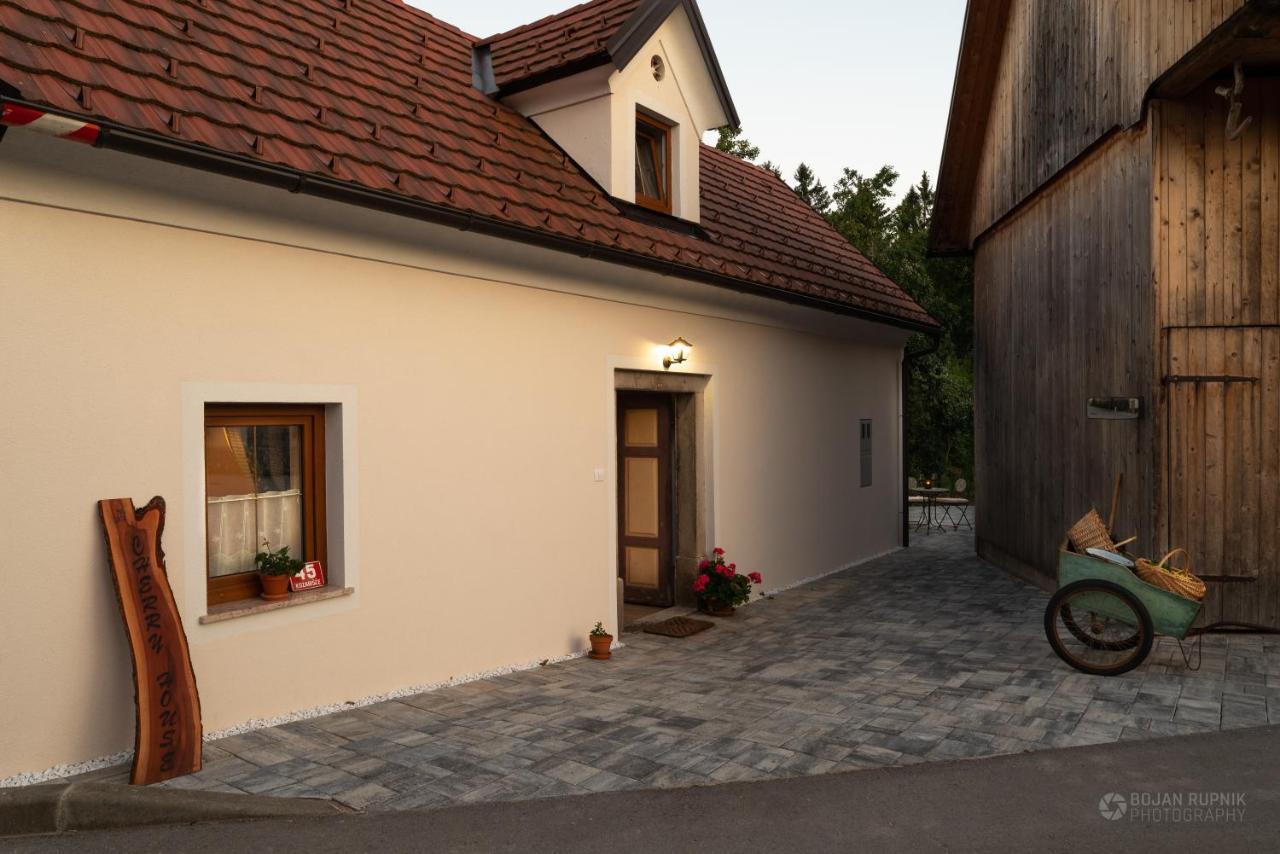 Cherry House - Cosy House - Ideal For Bear Watching, In The Neighborhood Of The Medieval Sneznik Castle Stari Trg pri Lozu Exterior photo
