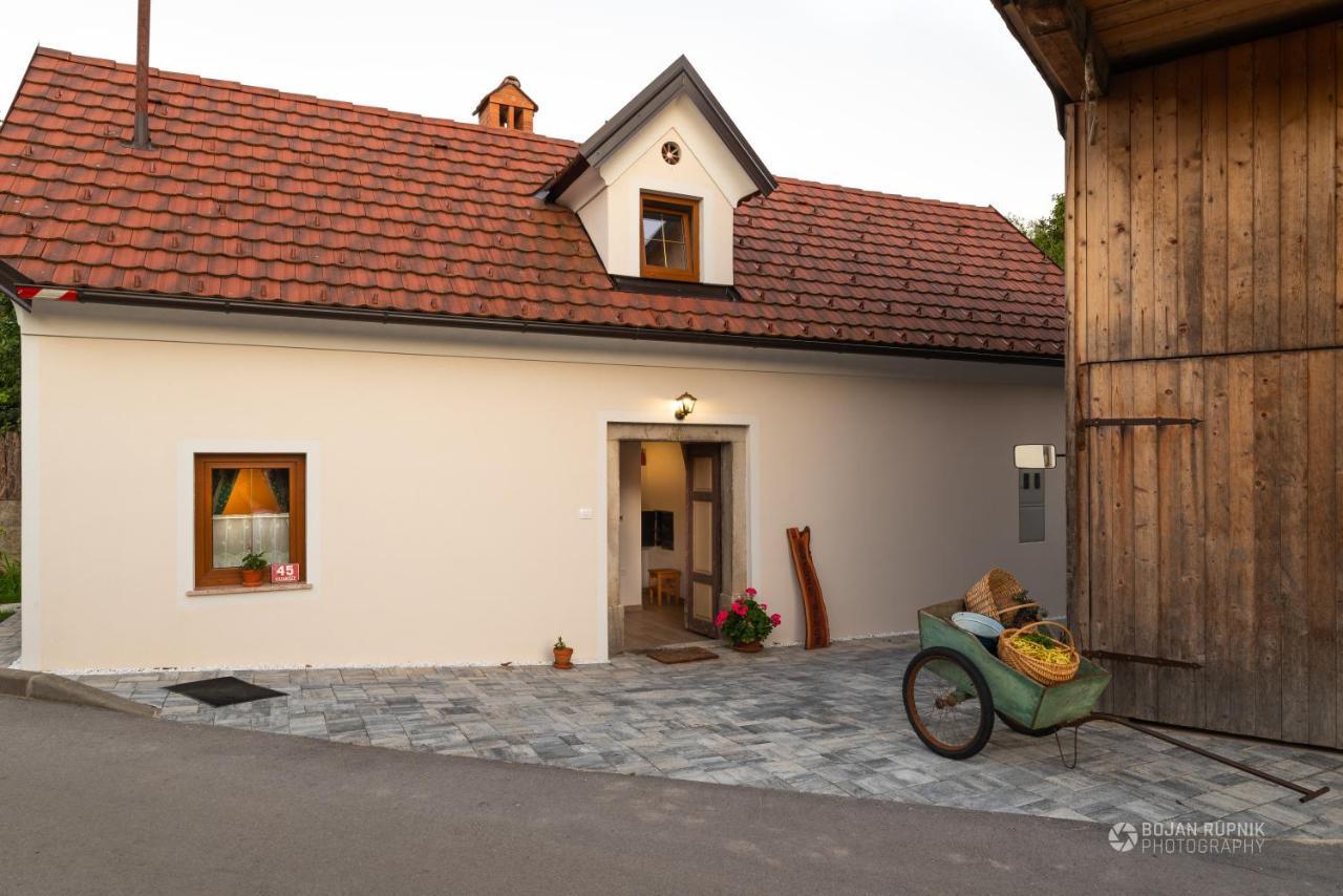 Cherry House - Cosy House - Ideal For Bear Watching, In The Neighborhood Of The Medieval Sneznik Castle Stari Trg pri Lozu Exterior photo