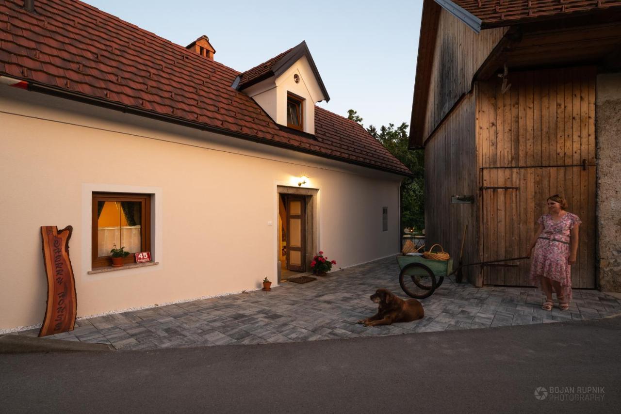 Cherry House - Cosy House - Ideal For Bear Watching, In The Neighborhood Of The Medieval Sneznik Castle Stari Trg pri Lozu Exterior photo